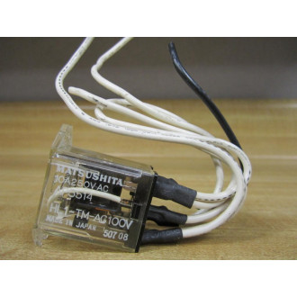 Matsushita HL1-TM-AC100V Power Relay AP5514 - Used