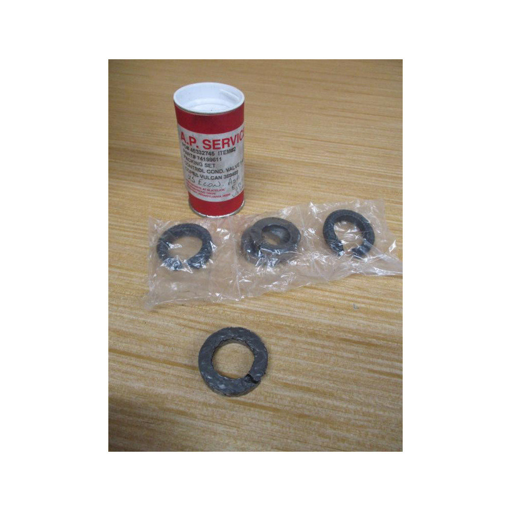 A.P. Services 74199611 Packing Set