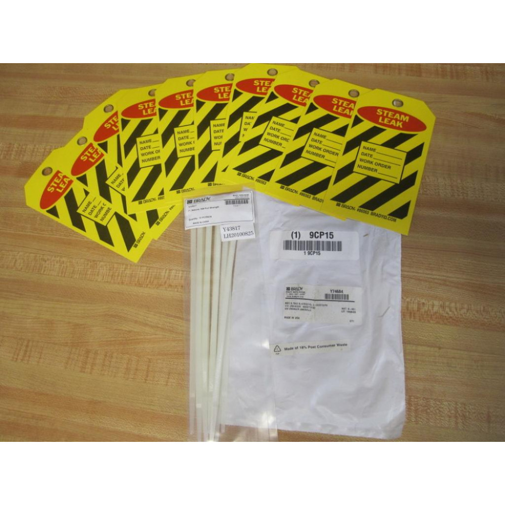 Brady 9CP15 'STEAM LEAK' Tag Y74684 (Pack of 10)