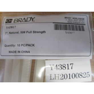 Brady 9CP15 'STEAM LEAK' Tag Y74684 (Pack of 10)