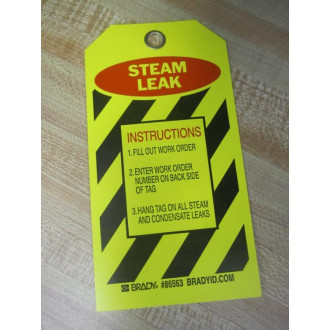Brady 9CP15 'STEAM LEAK' Tag Y74684 (Pack of 10)