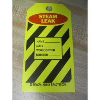 Brady 9CP15 'STEAM LEAK' Tag Y74684 (Pack of 10)