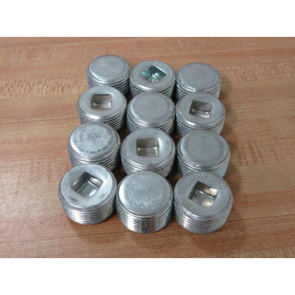 EGS PLG100R 1" NPT Plug Insert (Pack of 12)