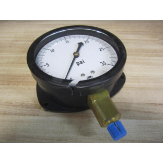 Ametek 33202 USG Gauge 0-30 PSI 14" Cracked Top Frame