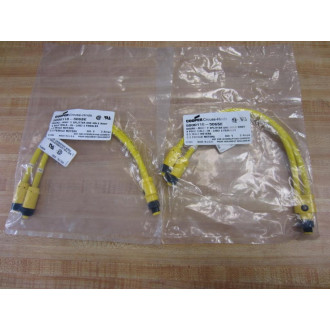Crouse & Hinds 5000118-506SE Y Splitter Cable Assembly 5000118506SE (Pack of 2)
