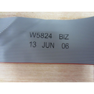 W5824 Ribbon Cable - Used