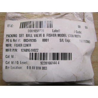 Fisher Emerson 12A8951X022 Packing Set