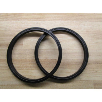 P250-04.500-375D Seal P25004500375D (Pack of 2)