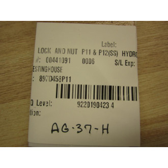 Westinghouse 897D458P11 Washer Lock And Nut P11 & P12(SS) (Pack of 2)