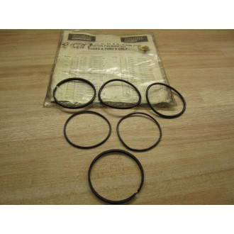 Hanna C-200 Piston Packing Kit 706-00047-023