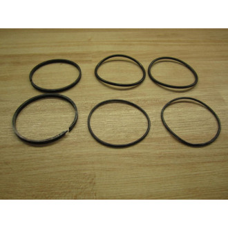 Hanna C-200 Piston Packing Kit 706-00047-023