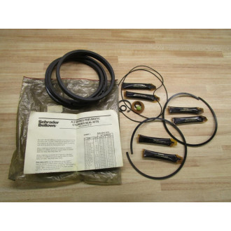 Schrader Bellows 119110880394-87 Cylinder Seal Kit