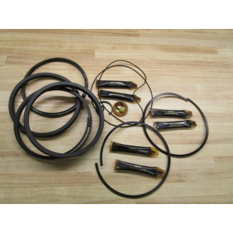 Schrader Bellows 119110880394-87 Cylinder Seal Kit