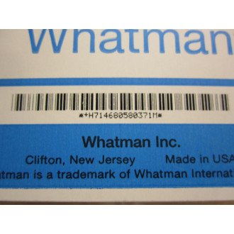 Whatman 6805-8037 Polypropylene Prefilter 90MM DFP (Pack of 16)