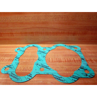 Klingersil 1000079239 Gasket  C-4401 (Pack of 2)