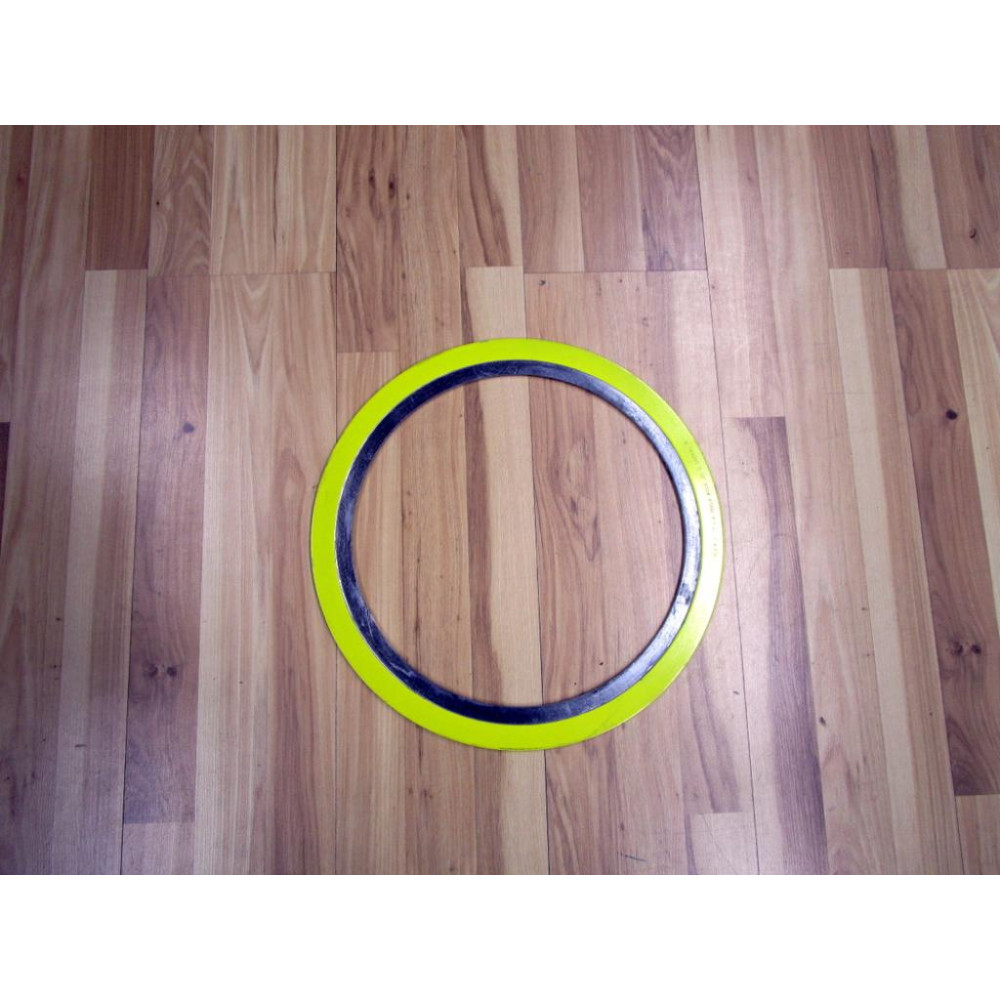 Teadit C 12" 300 ASME B16.20 304FG Gasket C12300ASMEB1620304FG - New No Box