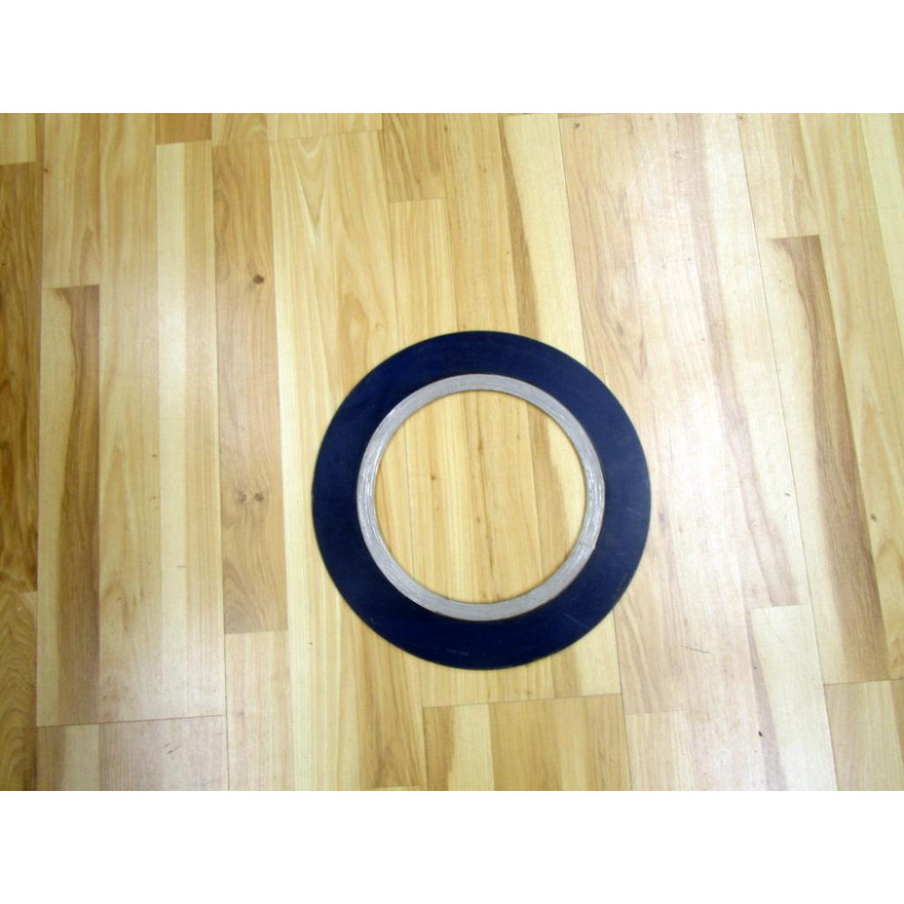 8" 900 API-601 Gasket 8900API601 - New No Box