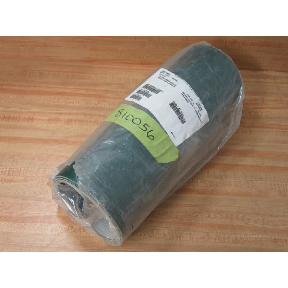Wirtz 2M0916A10 FDA Ropanyl Polyurethane Belt A579161