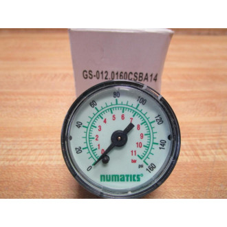 Numatic GS-012.0160CSBA14 Gauge