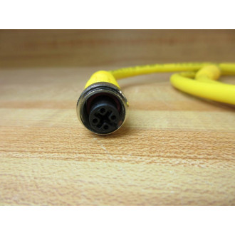 Turck RKC 4.4T-10-RSC 4.4T RKC44T10RSC44T Cable Overall Length 41" (Pack of 2)