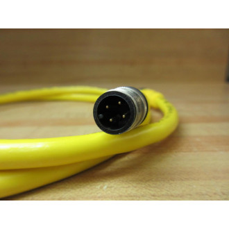 Turck RKC 4.4T-10-RSC 4.4T RKC44T10RSC44T Cable Overall Length 41" (Pack of 2)