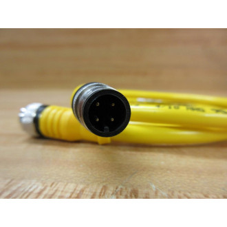 Turck RKC 4.4T-10-RSC 4.4T RKC44T10RSC44T Cable Overall Length 41" (Pack of 2)