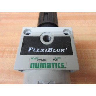 Numatics P22B-03C FlexiBlok Pneumatic Filter P22B03C - Used
