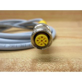 Turck RK 4T-25V Cable RK 4T25V - New No Box