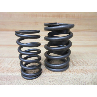 Elgin RV-9901 4 PK Valve Springs RV9901