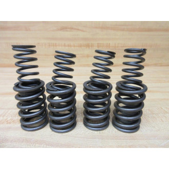 Elgin RV-9901 4 PK Valve Springs RV9901