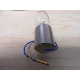 Hosobuchi 1960 Bulb