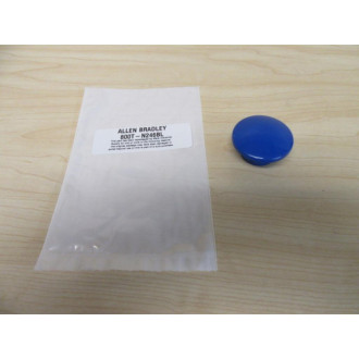 Allen Bradley 800T-N246BL Button