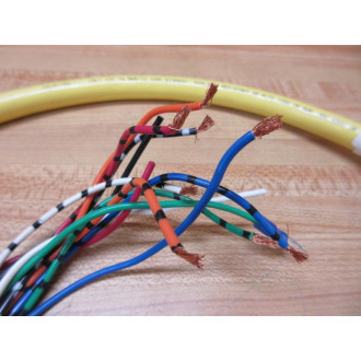 Turck RSM 126-2MS90 QD Cable U2-00546 - Used