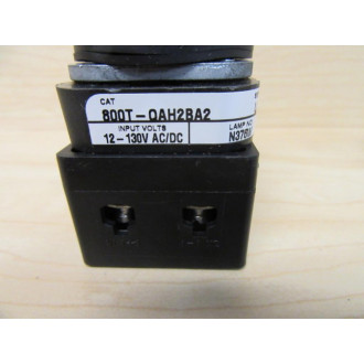 Allen Bradley 800T-QAH2BA2 Push Button Switch - New No Box