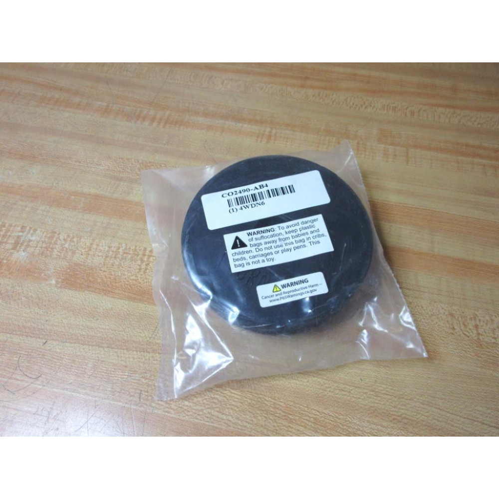 Zurn 4WDN6 Cleanout Plug CO2490-AB4