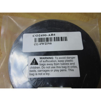 Zurn 4WDN6 Cleanout Plug CO2490-AB4