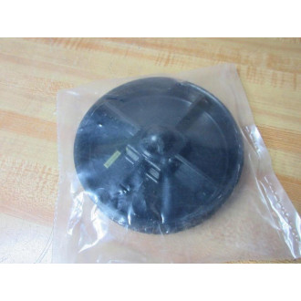 Zurn 4WDN6 Cleanout Plug CO2490-AB4