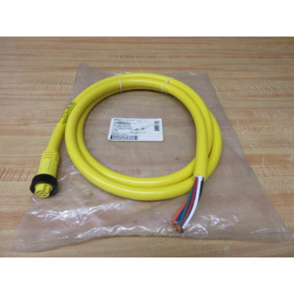 Brad Connectivity 106000A01F060 Molex Woodhead Cordset 1300061583