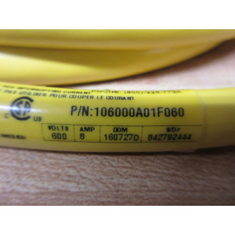 Brad Connectivity 106000A01F060 Molex Woodhead Cordset 1300061583