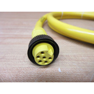 Brad Connectivity 106000A01F060 Molex Woodhead Cordset 1300061583