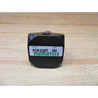 Numatics R12P-01GPT Miniature Pneumatic Regulator R12P01GPT - New No Box