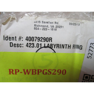 KSB 423.01 Labyrinth Ring 42301