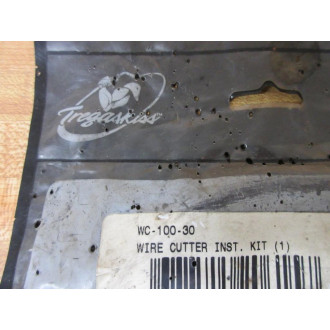 Tregaskiss WC-100-30 Valve Repair Kit WC10030