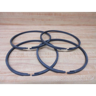 Motion Industries 7000.488.007 C.I. Ring 7000488007 (Pack of 4) - New No Box