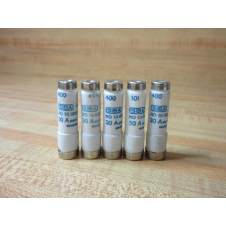 Siba 10-002-0730A Fuse 100020730A - New No Box