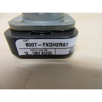 Allen Bradley 800T-FXQH2RA1 PushPull Device Core Only - Used