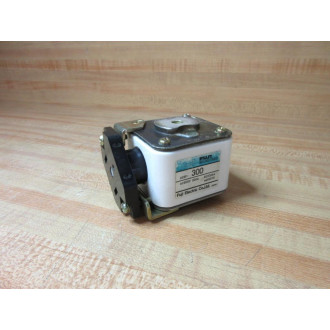 Fuji Electric CS5F-300 Fuse CS5F300 - Used