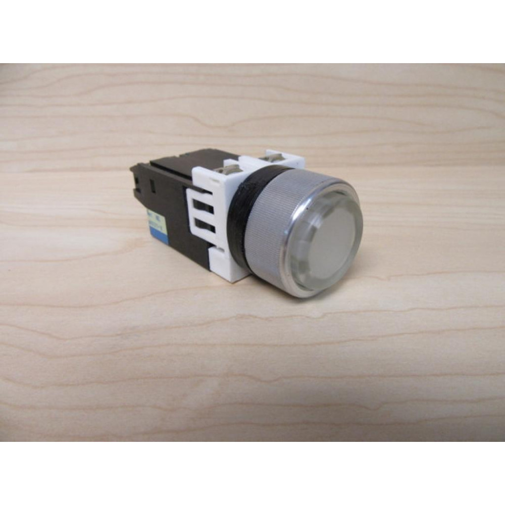 Fuji Electric AH22-ZH3 Pilot Light - New No Box