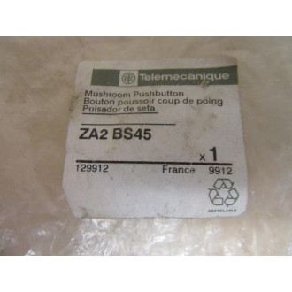 Telemecanique ZA2 BS45 Push Pull Switch
