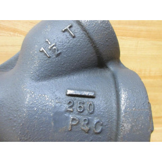 P&G Controls 250-1-12 Y-Strainer 250112 - New No Box